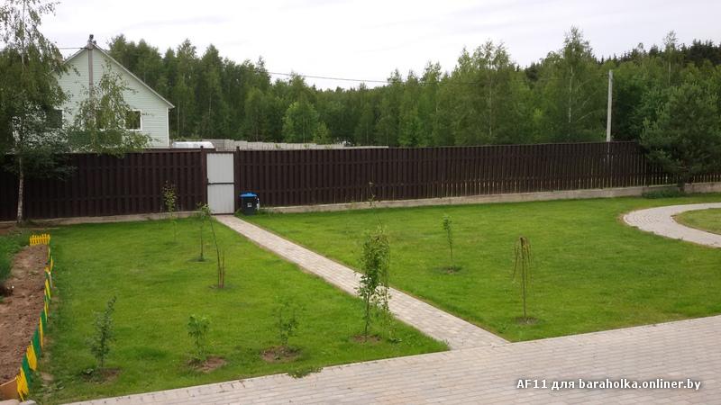 Какие сорт яблони сажать Какие сорт яблони сажать