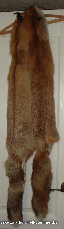 DSC05767.JPG
