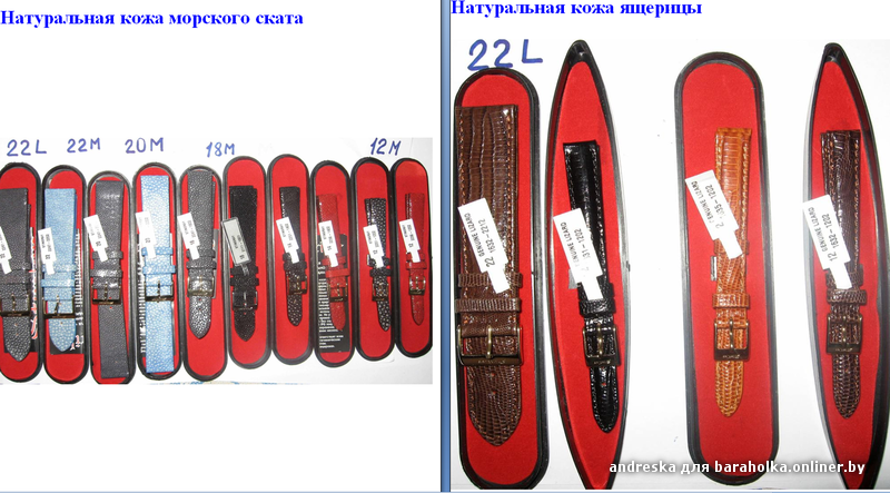 stailer elite 2 (морской скат и ящерица).png