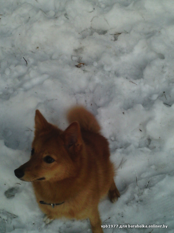 IMG_20130326_192934.jpg