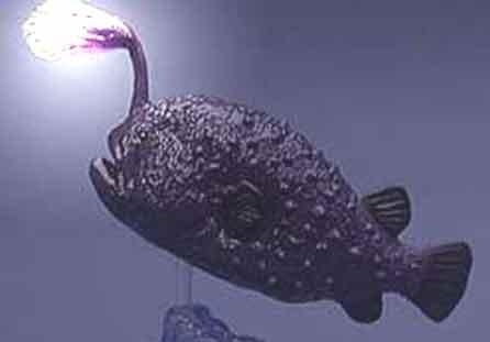 почему рыба светится в темноте