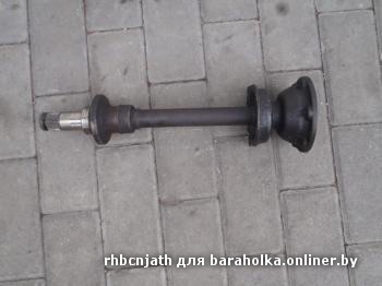 image.jpg