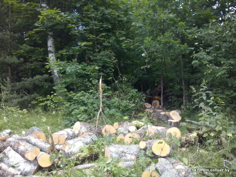 CAM00058.jpg