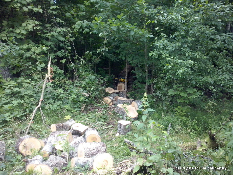 CAM00060.jpg