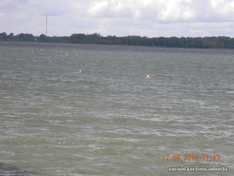 DSCN9385.JPG