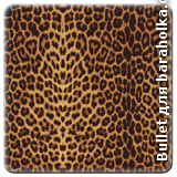 leopard_01.png