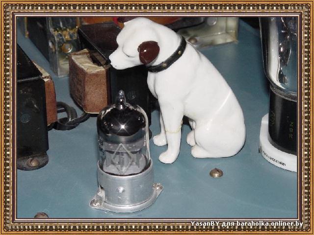 Nipper034_m.jpg