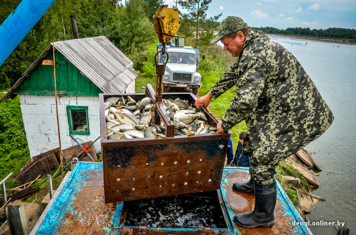 Piaoyu Новый рыболовный жезл Belarus