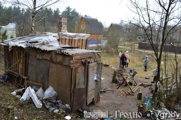 Пересадка волос