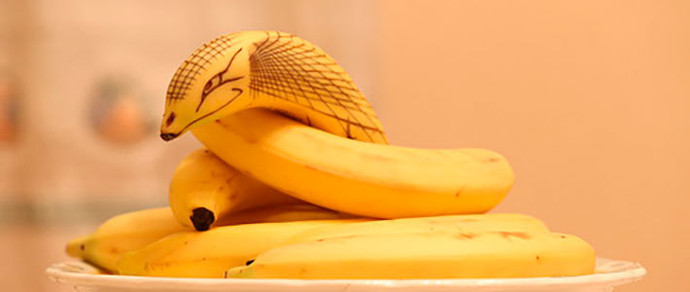 В СК призывают не верить слухам об инциденте в «Евроопте», где «покупателя укусила банановая змея»