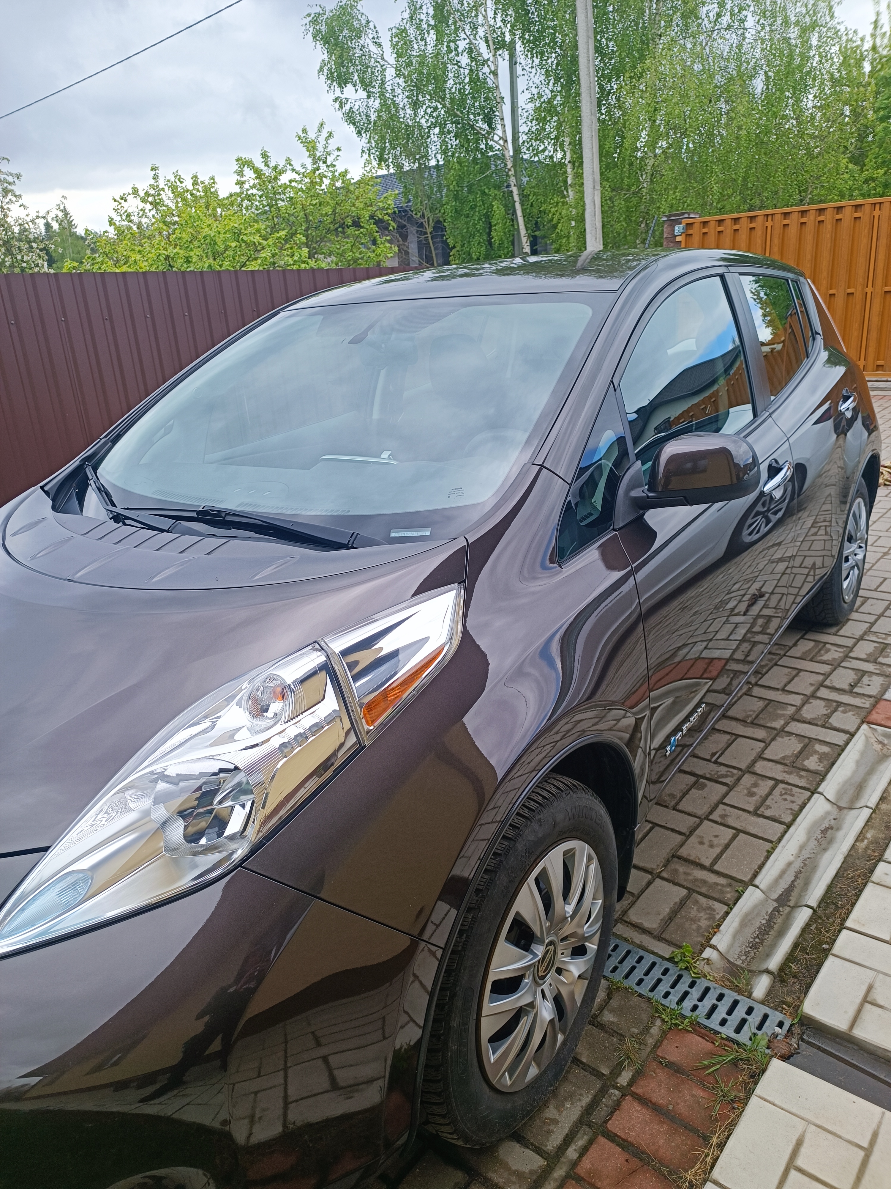 Nissan Leaf I