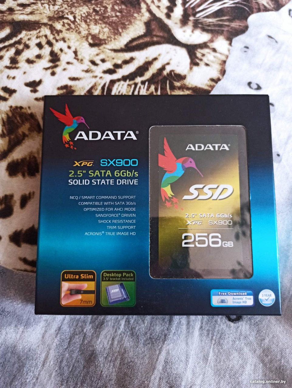 ADATA XPG SX900 256GB ASX900S3-256GM-C 【公式通販】
