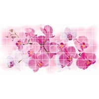 Панель Grace Орхидея Розея 95.5x48 см