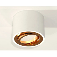 Точечный светильник Ambrella light Techno spot XS7510004 SWH/PYG