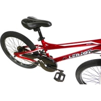 Детский велосипед Lenjoy Sports Finder 20 LS20-1 2020 (красный/белый)