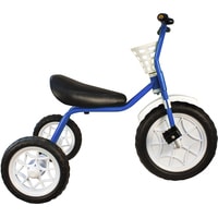 Детский велосипед Самокатыч Зубренок (голубой)