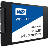SSD WD Blue 250GB [WDS250G1B0A]