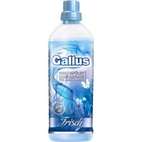 Ополаскиватель-концентрат Gallus Freshness 2 л