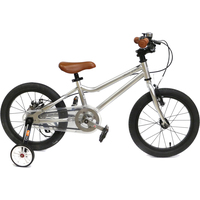 Детский велосипед Lenjoy Sports Silver Gohst 16 2020