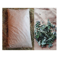 Подушка для бани Астрадом Из лугового сена с мятой (60x40x8)