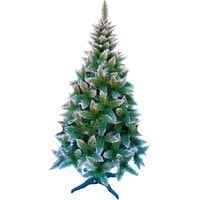 Сосна Christmas Tree Северная 1.5 м