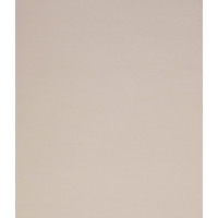Рулонные шторы Legrand Лестер 72.5x175 (светло-серый)