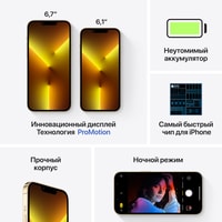 Смартфон Apple iPhone 13 Pro Max 1TB Восстановленный by Breezy, грейд A+ (золотистый)