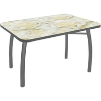 Кухонный стол Solt №164 100x60 (кромка серая/ноги усиленные/шелби-дуо серые)