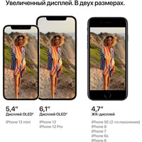Смартфон Apple iPhone 12 256GB Восстановленный by Breezy, грейд A+ (синий) в Пинске