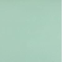 Рулонные шторы АС ФОРОС Плейн 7513 38x175 (светло-зеленый)