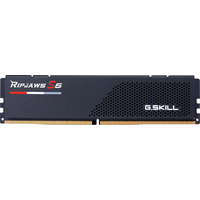 Оперативная память G.Skill Ripjaws S5 2x32ГБ DDR5 6800МГц F5-6800J3445G32GX2-RS5K в Бресте