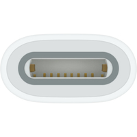 Адаптер для стилуса Apple USB-C to Apple Pencil Adapter в Орше