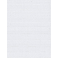 Мини рулонные шторы Delfa Сантайм Лен СРШП-05В 2800 57x170 (белый)