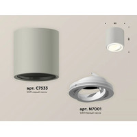 Точечный светильник Ambrella light Techno spot XS7533001 SGR/SWH