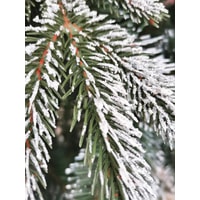 Сосна Christmas Tree Северная люкс с шишками 1.3 м