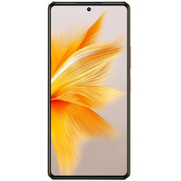 Смартфон Infinix Note 30 Pro X678B 8GB/256GB (закатное золото) в Пинске