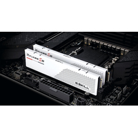 Оперативная память G.Skill Ripjaws S5 2x32ГБ DDR5 6000МГц F5-6000J3040G32GX2-RS5W в Бресте