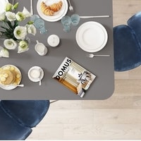 Кухонный стол Домус Симпл 3 (серый/черный)