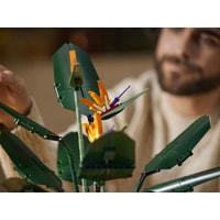 Конструктор LEGO Creator Expert 10289 Райская птица в Барановичах
