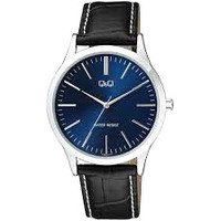 Наручные часы Q&Q Standard C08AJ011