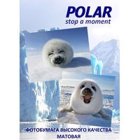 Фотобумага Polar A5M330025 матовая 13x18, 330 г/м2, 25 л
