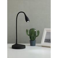 Настольная лампа Miniso 5060 (черный)
