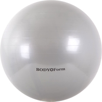 Гимнастический мяч Body Form BF-GB01 55 см (серебристый)
