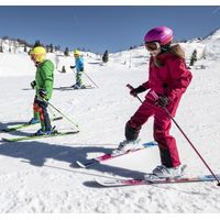 Горные лыжи Elan Rental Explore Pro AGKFRZ19 + DB999219 (р. 100)