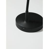 Настольная лампа Miniso 5060 (черный)