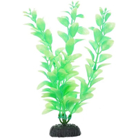 Искусственное растение Barbus Светящееся в темноте Plant 057 DARK/20