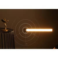 Ночник Yeelight Motion Sensor Closet Light A40 YLCG004 (серебристый) в Барановичах