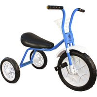 Детский велосипед Самокатыч Зубренок (голубой)