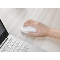 Мышь Xiaomi Mi Dual Mode Wireless Mouse Silent Edition WXSMSBMW02 (белый) в Бресте
