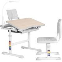 Парта Anatomica Avgusta + стул + выдвижной ящик + светильник + подставка (клен/серый)
